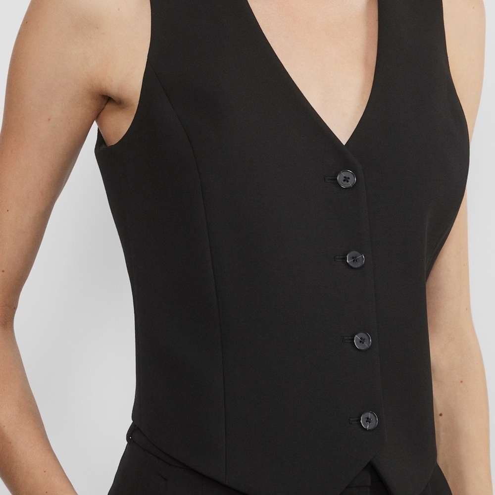 Aritzia Babaton Deniro Vest